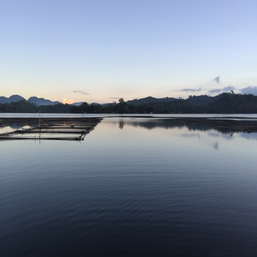 K’mohung and Seselong: Cultural Adaptation of the T’boli S’bu to the Fish Kill Phenomenon in Lake Sebu, South&nbsp;Cotabato