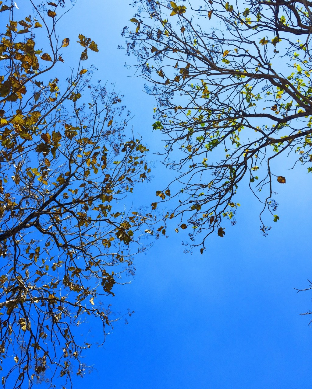 Teaching Peace, Developing Tolerance, Instilling&nbsp;Sensitivity