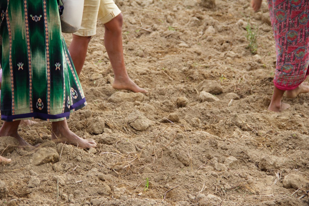 Stepping Back: Reflexivity in the&nbsp;Field